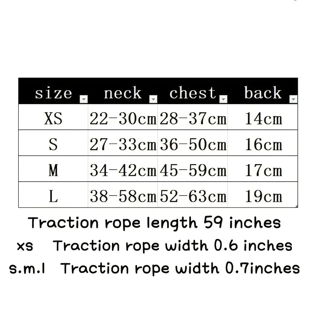 Arnés con collar y correa