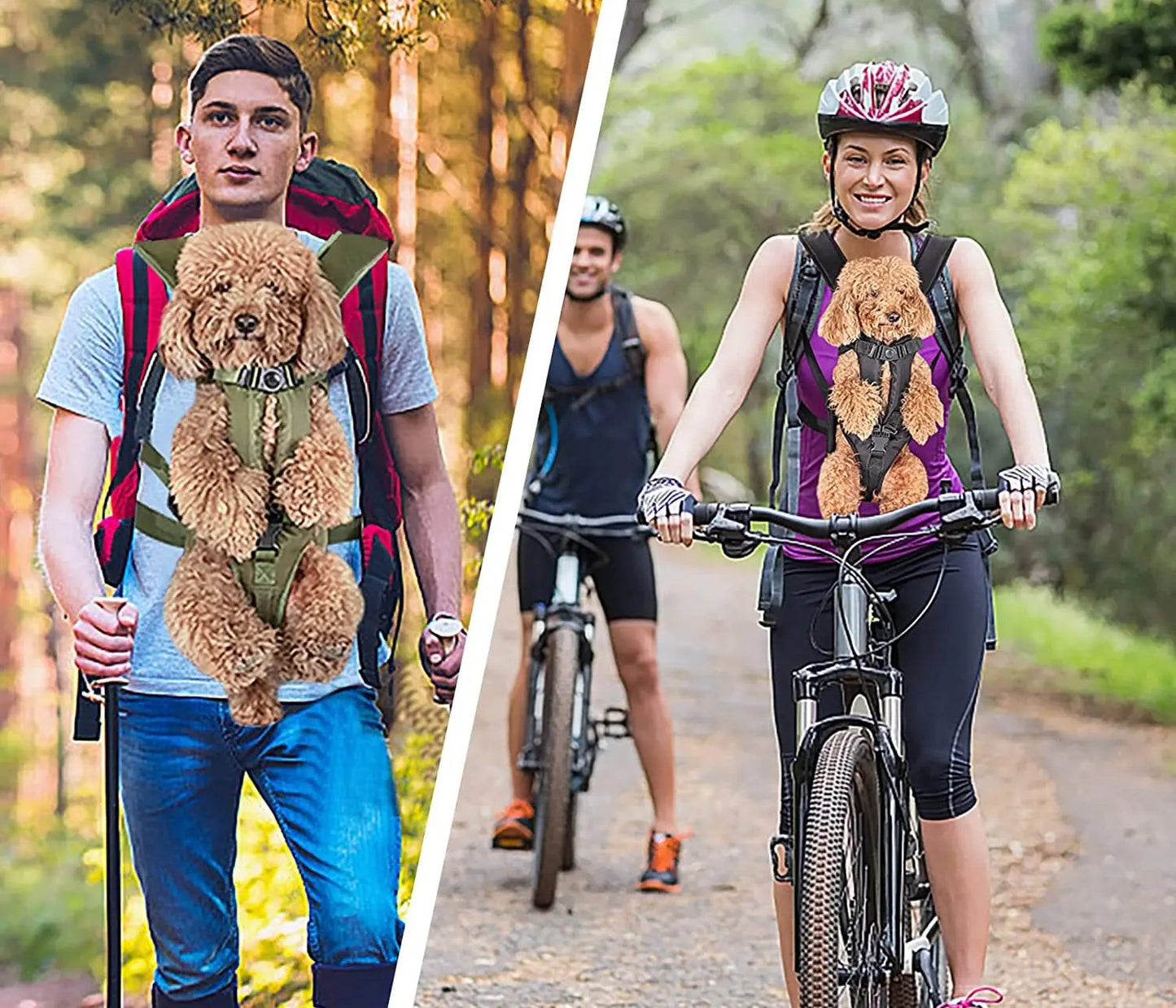 Cargador para mascotas