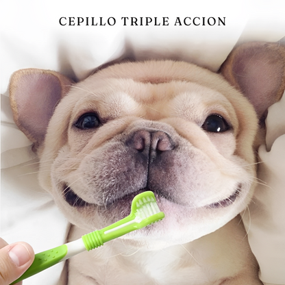 Cepillo de dientes para mascotas