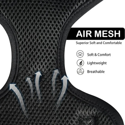 Arnés Elegante para Perros