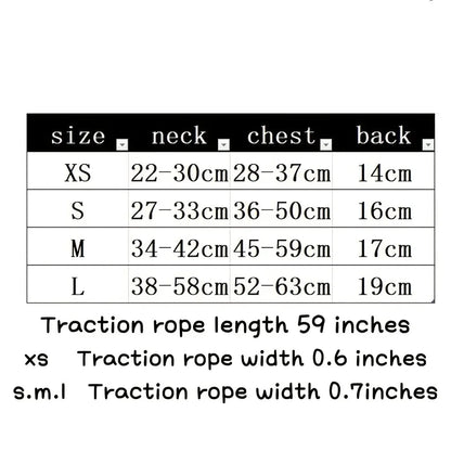 Arnés con collar y correa