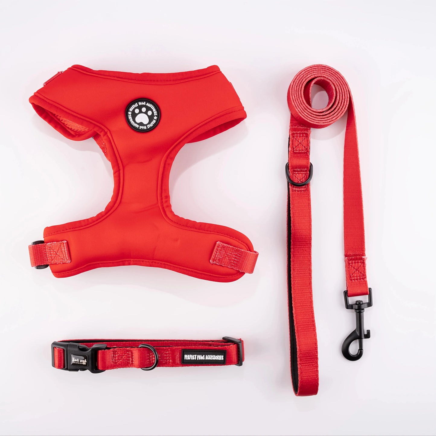 Arnés con collar y correa