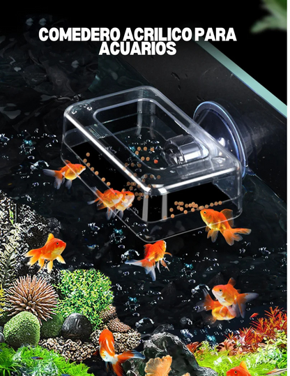 Comedero acrílico para acuario