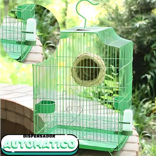 Dispensador para aves