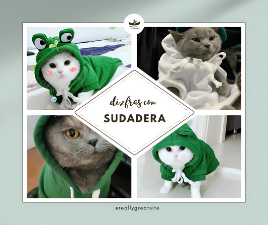 Disfraz con Sudadera