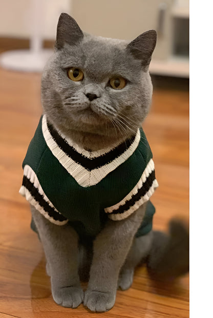 School Sweater