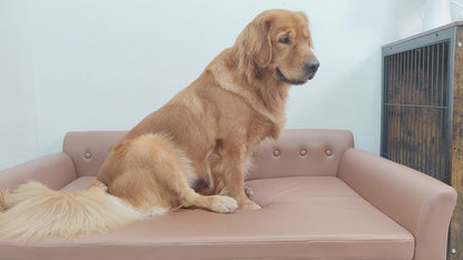 Pet Sofa Bed