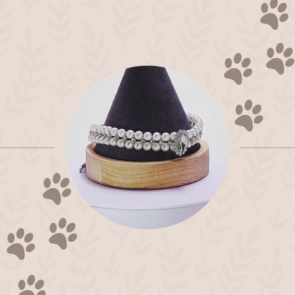 Collar para gatos