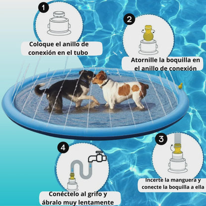 Piscina de Juegos Caninos