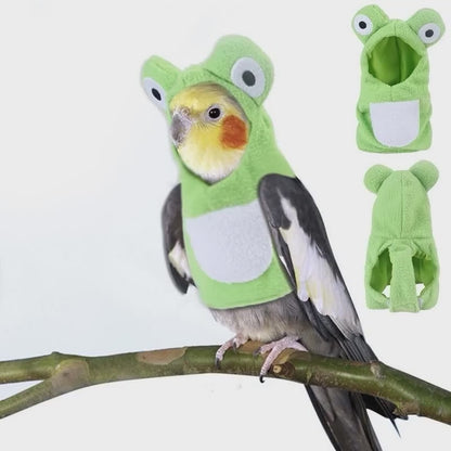 Frog Costume